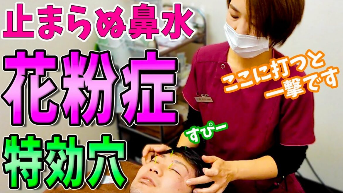 【花粉症 治す方法】重症花粉症のサーカス先生でも鼻水がピタリと止まる花粉症を治す方法！【花粉症】