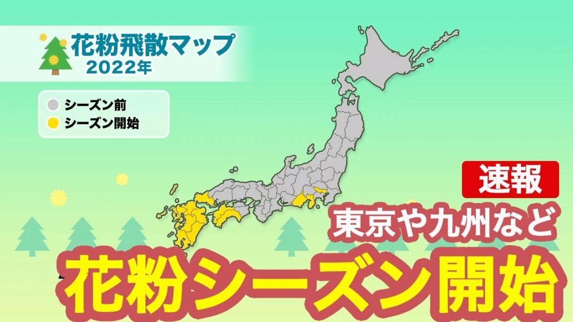 【速報】東京や九州など「花粉シーズン」開始　花粉症対策を