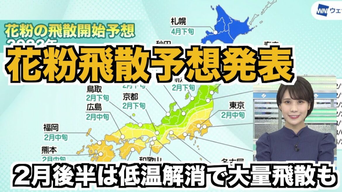ウェザーニュース【花粉飛散予想】2月後半は低温解消で大量飛散も