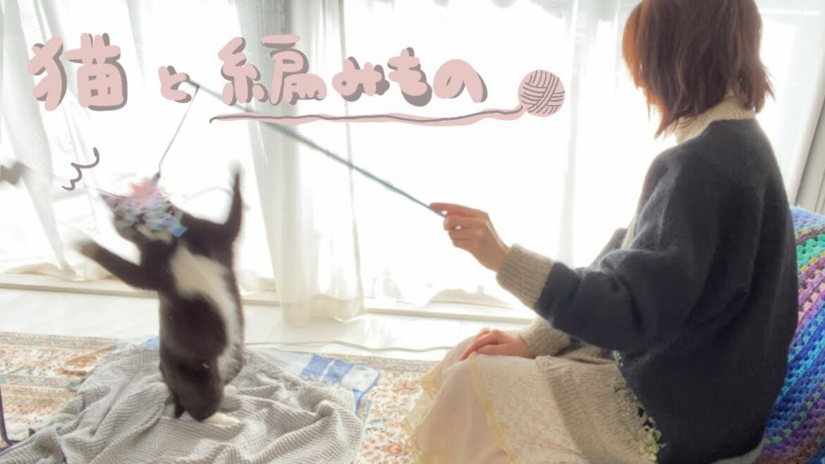 [作業用]猫の吉くんと森川葵の日常(＋編み物)