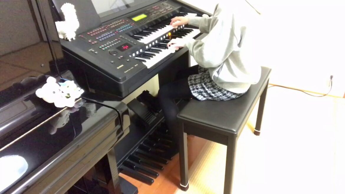 冬の花 - 宮本浩次 - ｢後妻業｣主題歌 - エレクトーン演奏