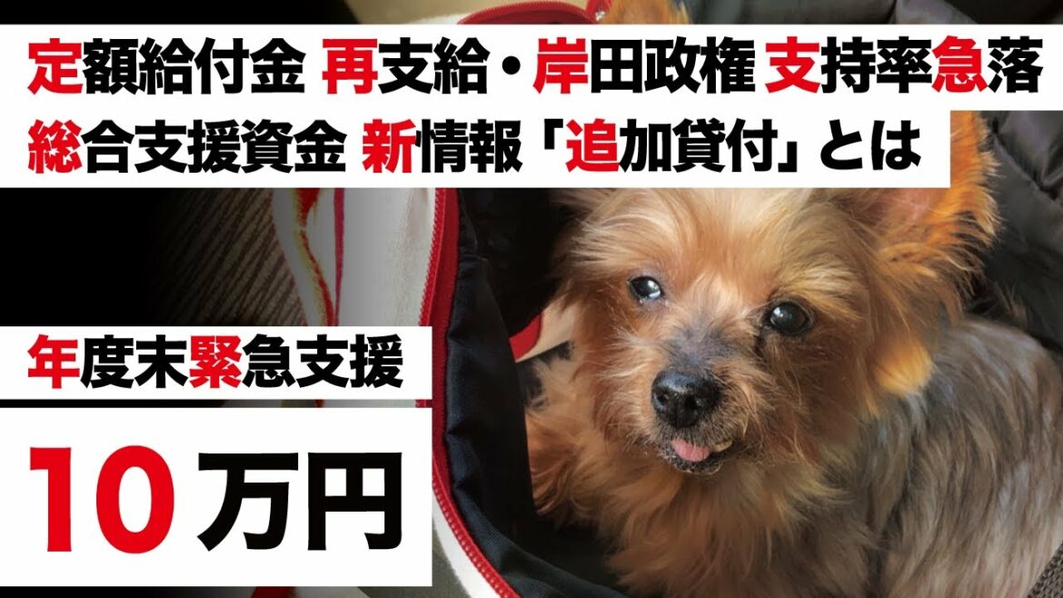 年度末の緊急支援策【総合支援資金 追加貸付とは・定額給付金 国民感情】緊急事態宣言「慎重姿勢」菅義偉 安倍晋三「総理に指南」【オミクロン株 水際対策緩和】岸田政権 内閣支持率低下