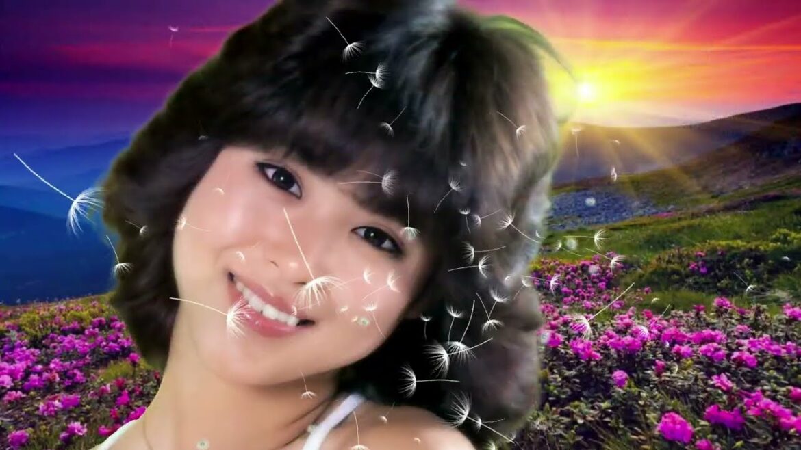 松田聖子　秘密の花園