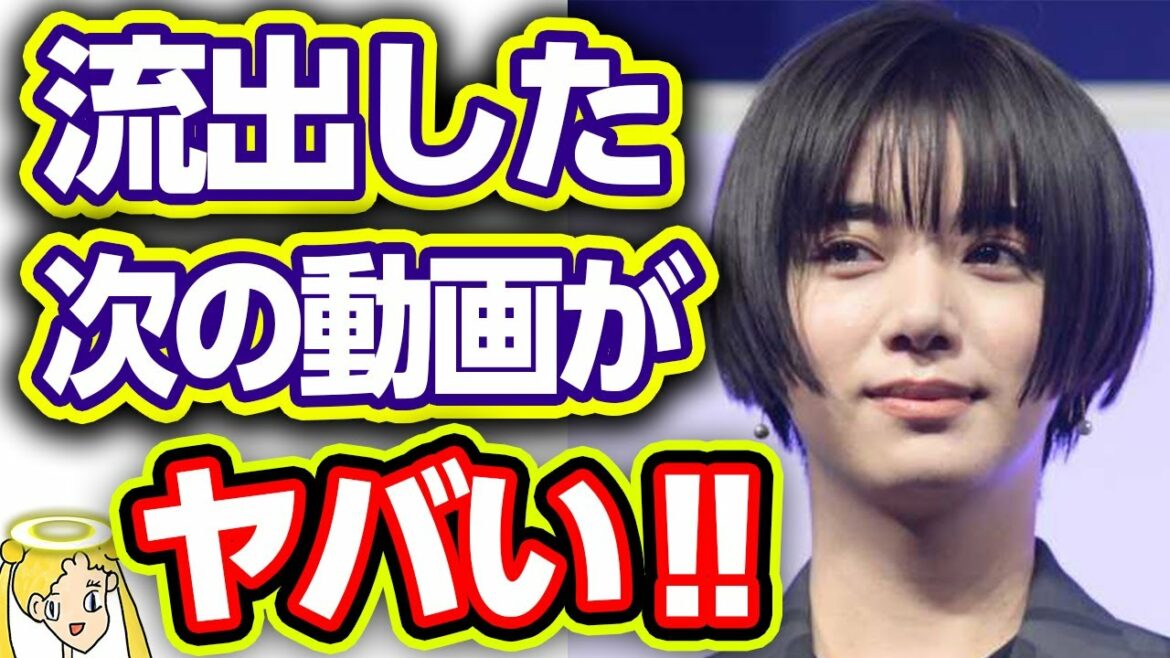 池田エライザの再び流出する動画に一同起立‼ゴチレギュラー決定は大失敗か‼【本当は優しい世良さん】