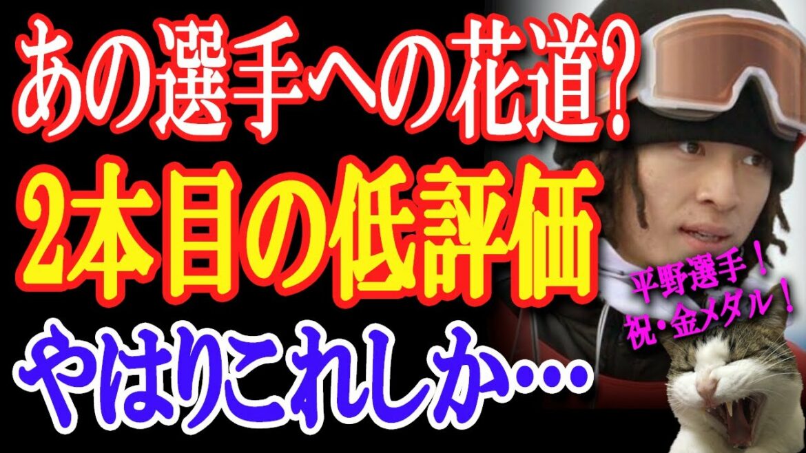 海外の方が激怒した！北京五輪男子ハーフパイプでの平野歩夢選手の2本目の低評価！そうなった理由はこの説が一番有力？【日出づる国TV】
