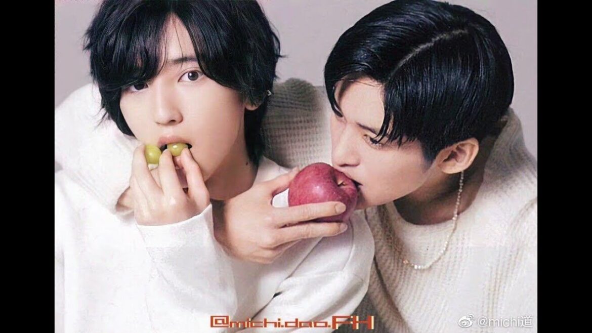 目黒蓮 x 道枝駿佑 めめみち: マガジン 雑誌 - 合集