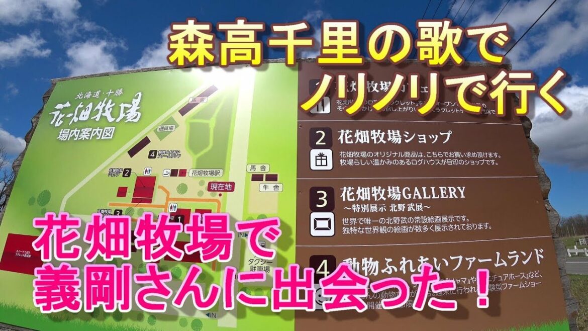 花畑牧場に行き、田中義剛さん発見！ BGMはこの動画にピッタリな森高千里のずる休み  hokkaido tokachi hanabatake farm