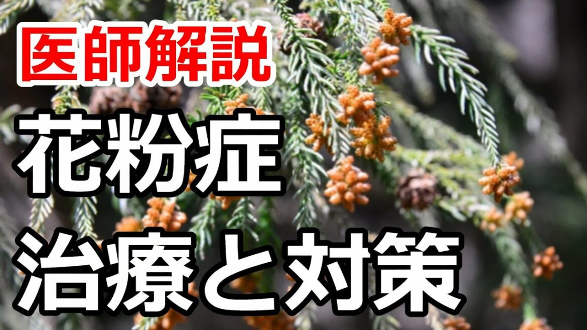 花粉症の薬や治療、対策について医師が解説します
