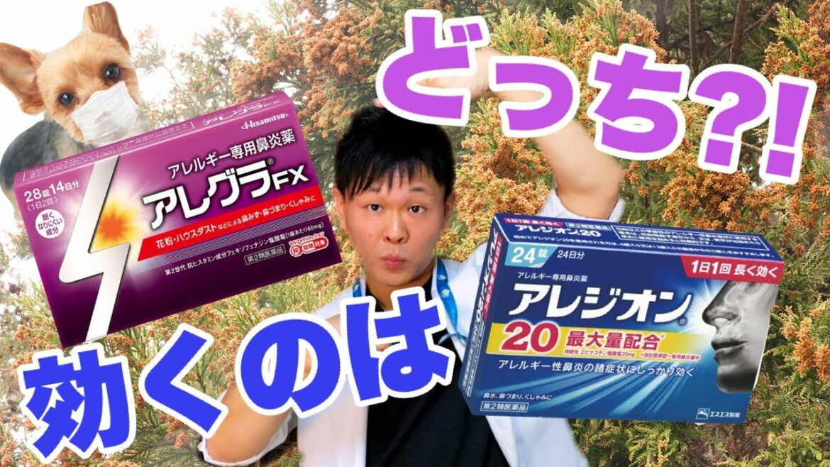 花粉症やアレルギーの定番【アレグラ】＆【アレジオン】どっちが効く？