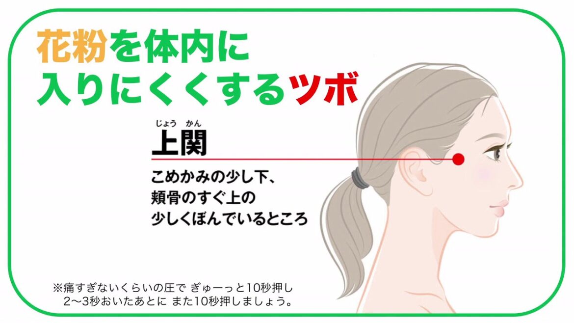 花粉症対策につながる３つのツボ