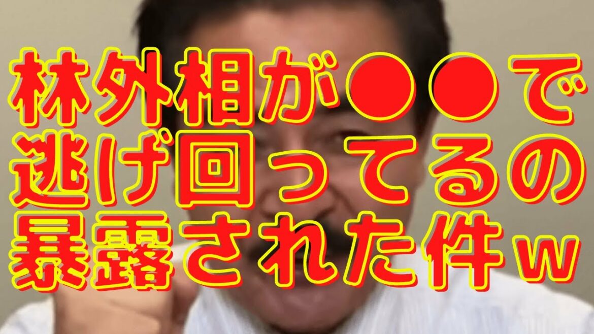 高市早苗氏も残念そう…重要法案の裏で朝日新聞がハニトラ？ｗ林外相が●●で逃げ回ってるのが暴露された件ｗ#525