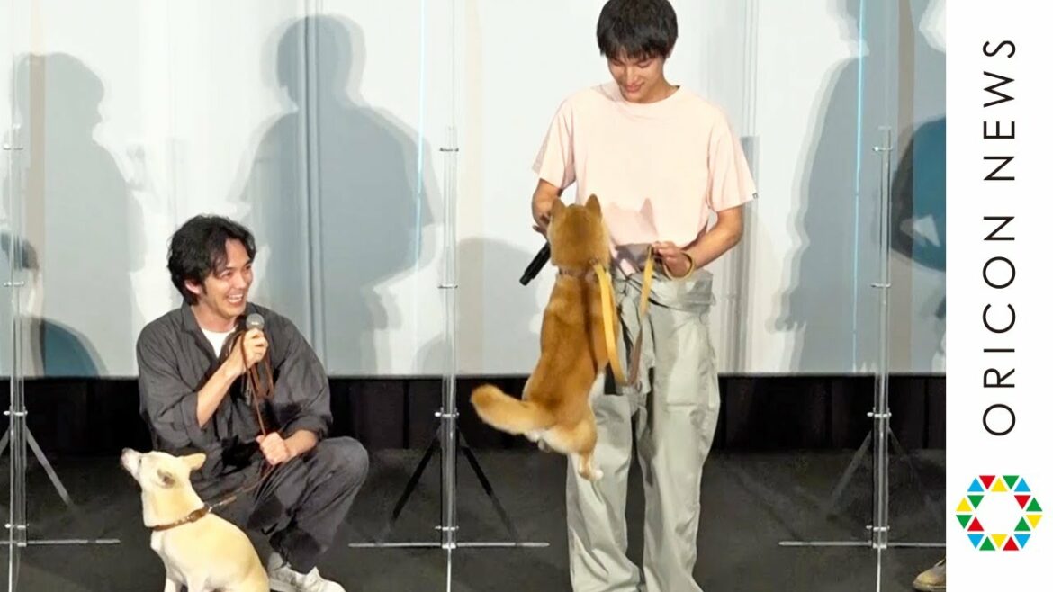 中川大志、共演のワンちゃんとジャンプ披露！　映画『犬部！』舞台挨拶