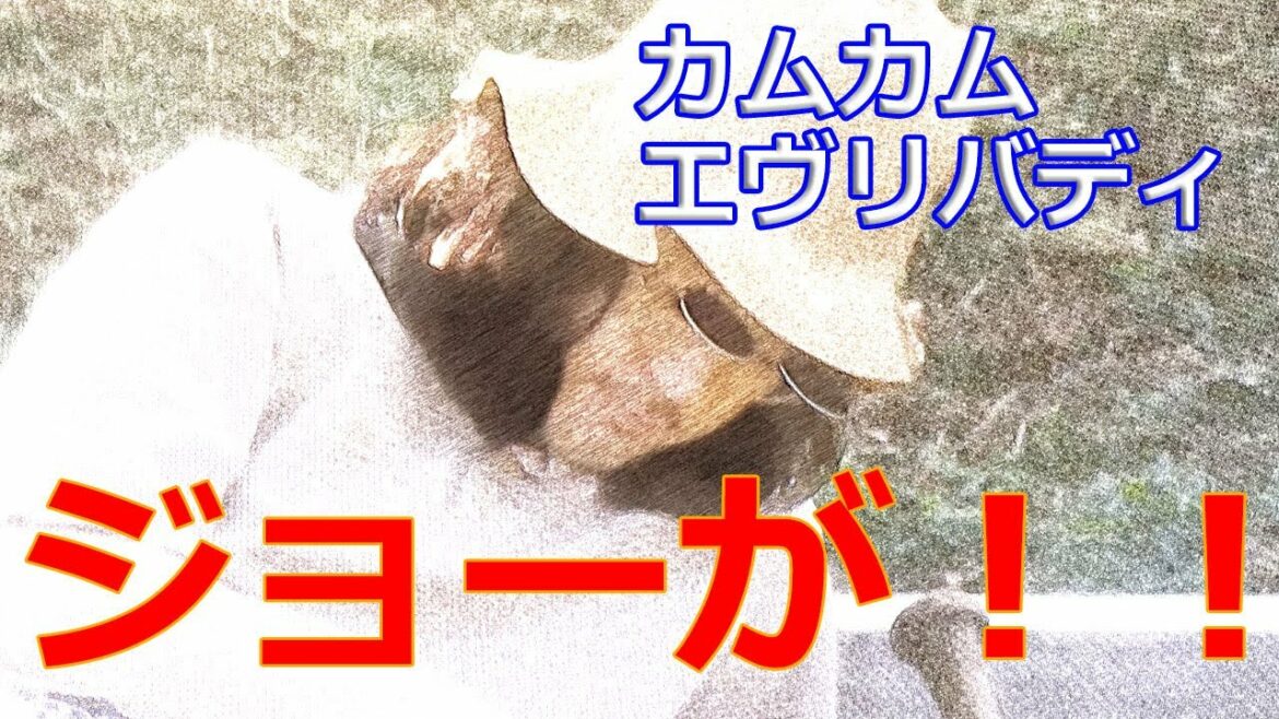 朝ドラ「カムカムエヴリバディ」ジョー、作曲家へ？るい、ひなたの弟、桃太郎を授かる。安達祐実登場！太秦映画村と上白石萌音さんや松村北斗さんが、どこかで再登場？