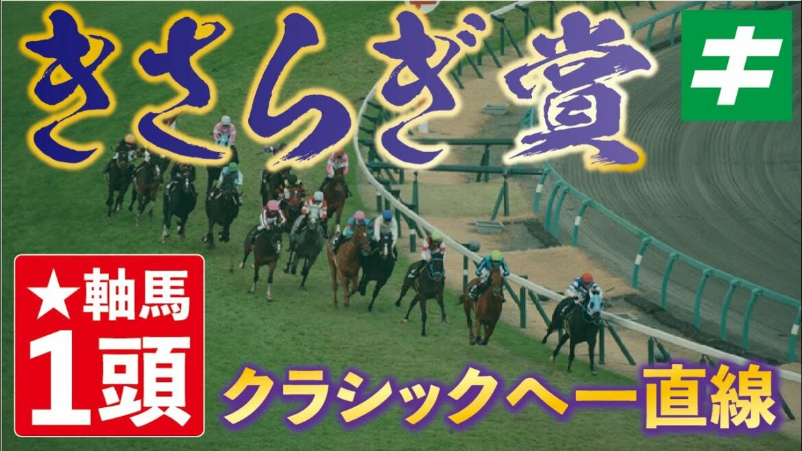 きさらぎ賞 2022 【予想】軸馬の選択肢が最大のポイント！「あの素質馬」がクラシックへと一直線！