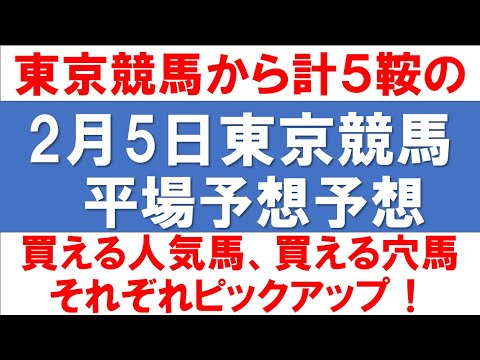 2月5日東京競馬予想【東京競馬から買える穴馬と買える人気馬をピックアップ】 2月5日東京競馬予想【東京競馬から買える穴馬と買える人気馬をピックアップ】