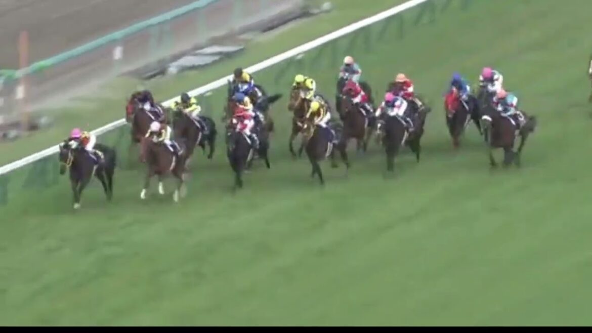 第78回桜花賞    アーモンドアイ 2番人気１着