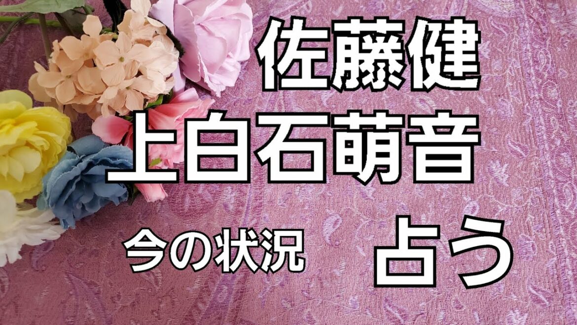 【占い】佐藤健、上白石萌音今の状況をタロットでみた