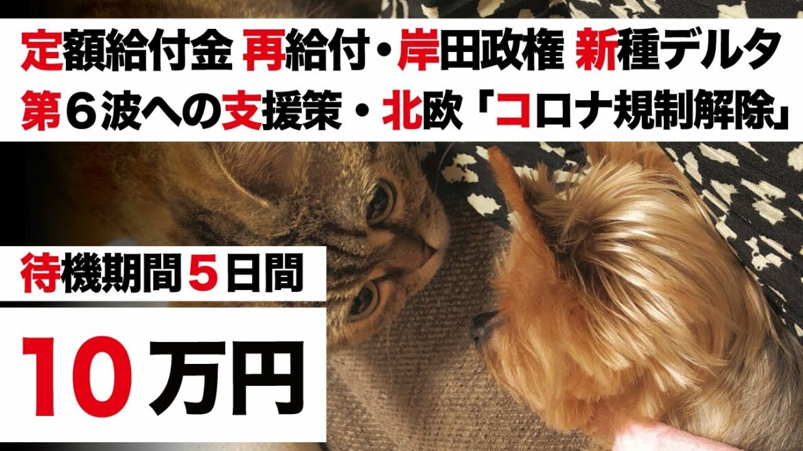 デルタ株  更なる変異【特別定額給付金 再給付・岸田政権 10万人越え 第6波への支援策】北欧「コロナ規制解除」濃厚接触者「待機期間5日へ議論」【オミクロン株 緊急事態宣言】