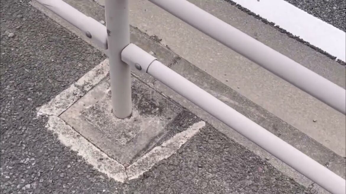 【衝撃映像】あなたには何て聞こえますか…