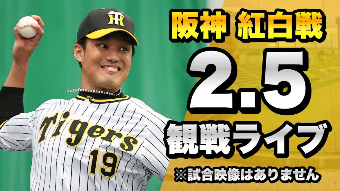 【佐藤輝明1号ホームラン】2/5 阪神タイガース 紅白戦2022 を一緒に観戦するライブ。【春季キャンプ2022】