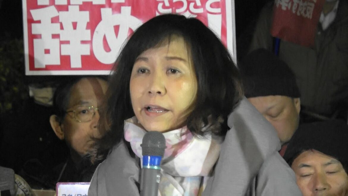 香山リカ氏 スピーチ 「稲田朋美防衛相辞任と自衛隊南スーダン派遣中止を安倍政権に求める国会前抗議行動」2017.2.24 @国会正門前