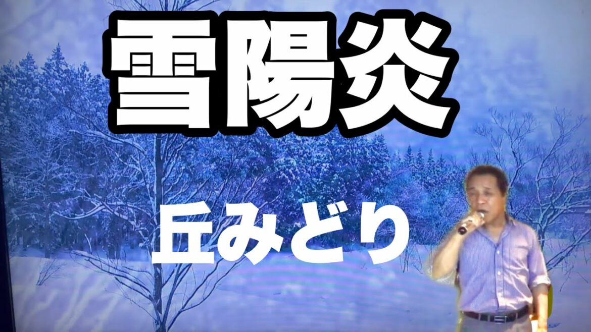 【新曲】雪陽炎 丘みどり cover by yasu