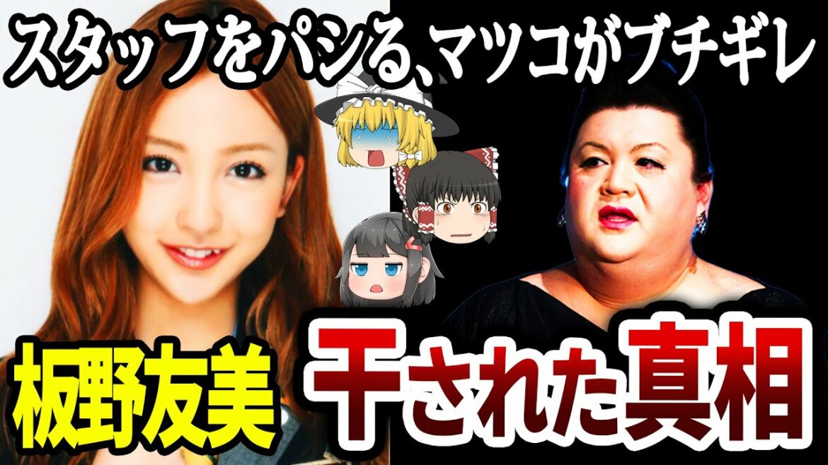 【ゆっくり解説】板野友美が消えた理由がヤバすぎる…わがまま放題、先輩を挨拶に来させる