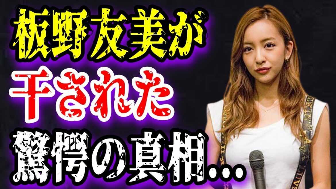 【ゆっくり解説】板野友美が消えた理由…AKB総選挙で神7に選ばれるも干された驚くべき真相とは!？