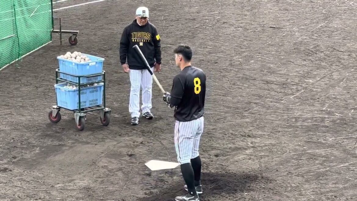 【打球の行方】阪神タイガース 佐藤輝明 ロングティー 宜野座キャンプ 2022年