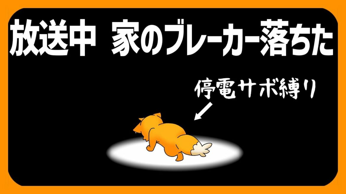 【放送事故】放送中ブレーカー落ちたので、停電しか起こせなくなった縛り【ズズsAmongUs】