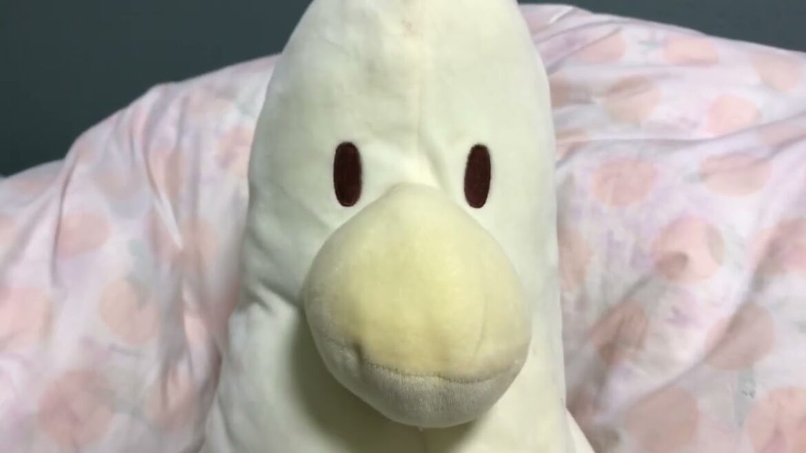 コロナ陽性についての報告