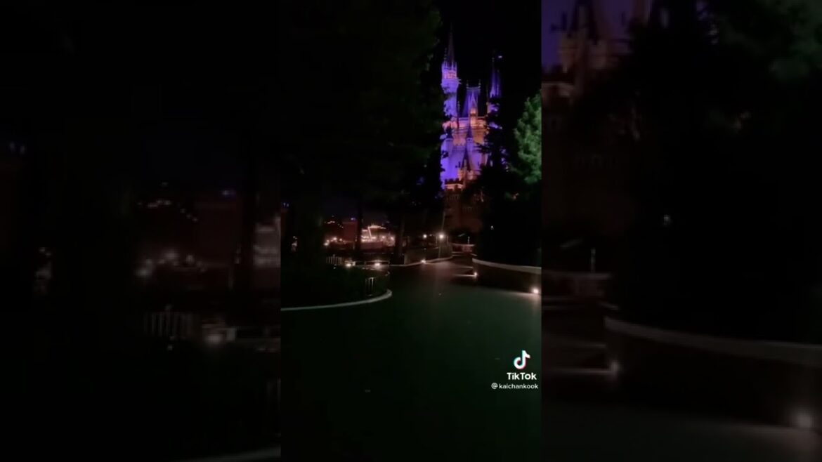 ディズニーの閉店後のミッキーマウスが怖すぎた、、　#衝撃映像 #tiktok 　#ディズニーランド　