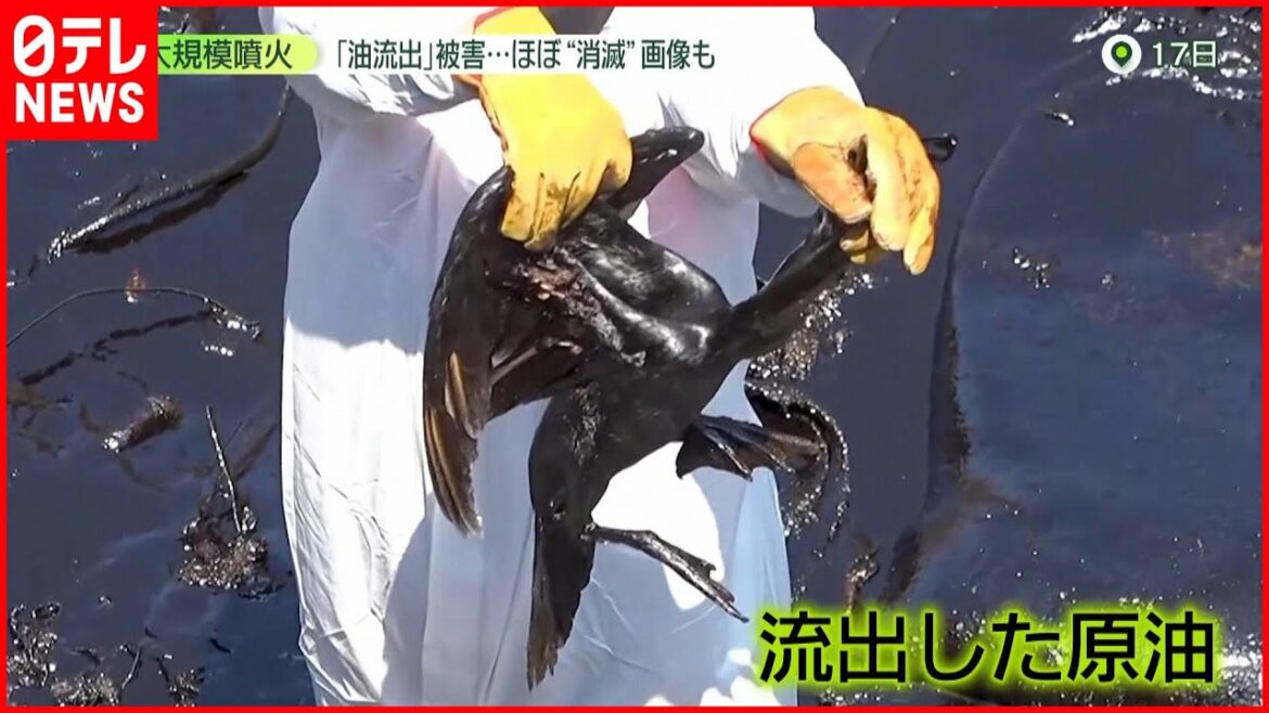 【トンガ】大規模噴火…ペルーで原油流出被害も
