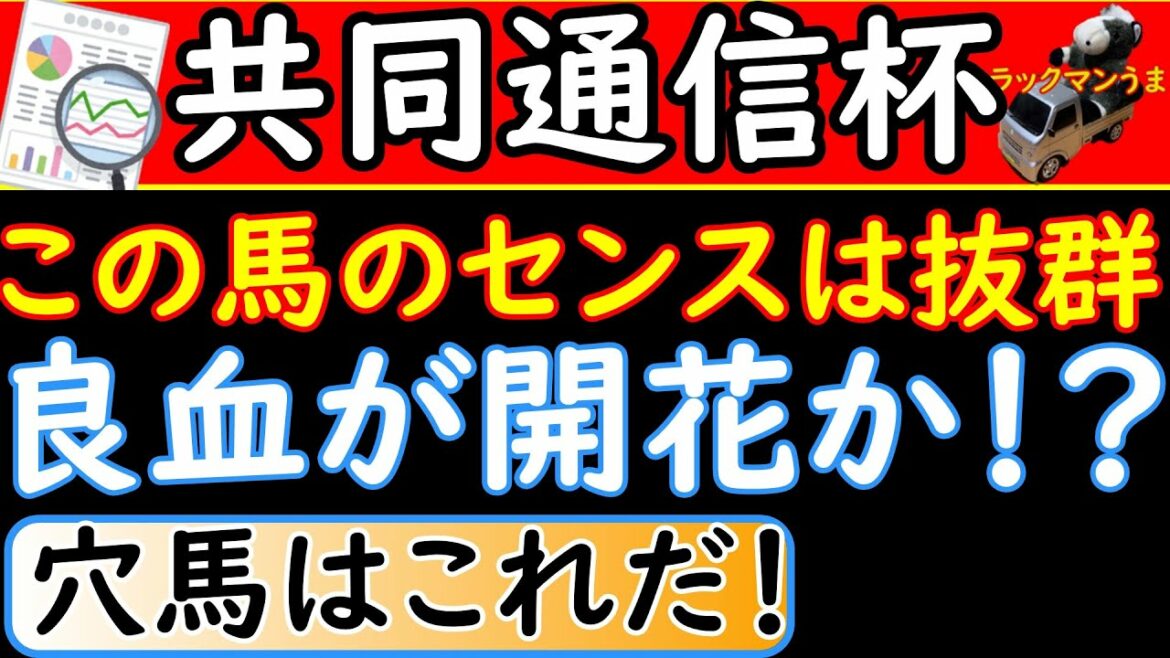 共同通信杯2022年の競馬予想!激走しそうな穴馬を探しました 共同通信杯2022年の競馬予想!激走しそうな穴馬を探しました