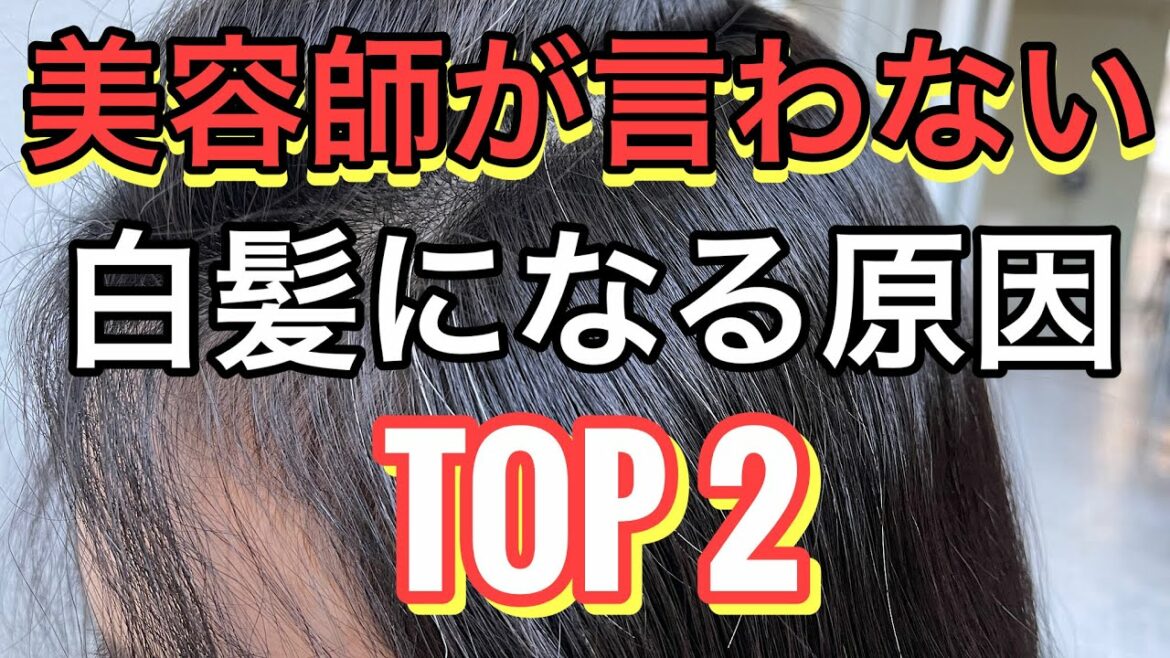 美容師が言わない白髪になる原因 TOP 2 美容師が言わない白髪になる原因 TOP 2