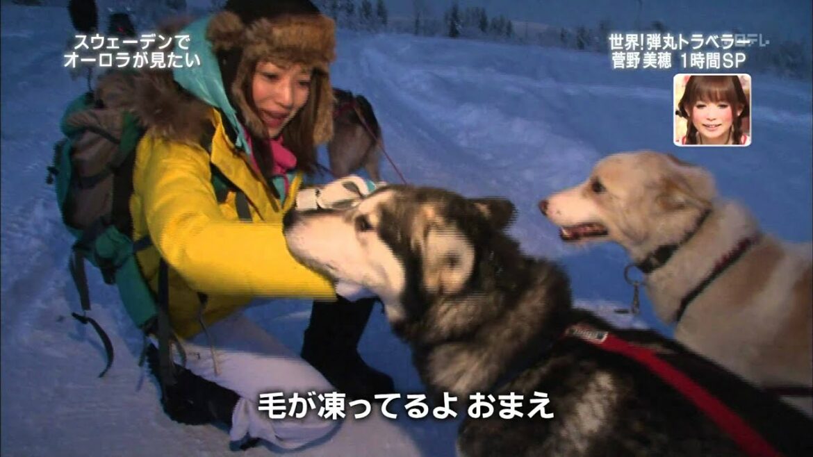 スウェーデンのアイスホテルpart1