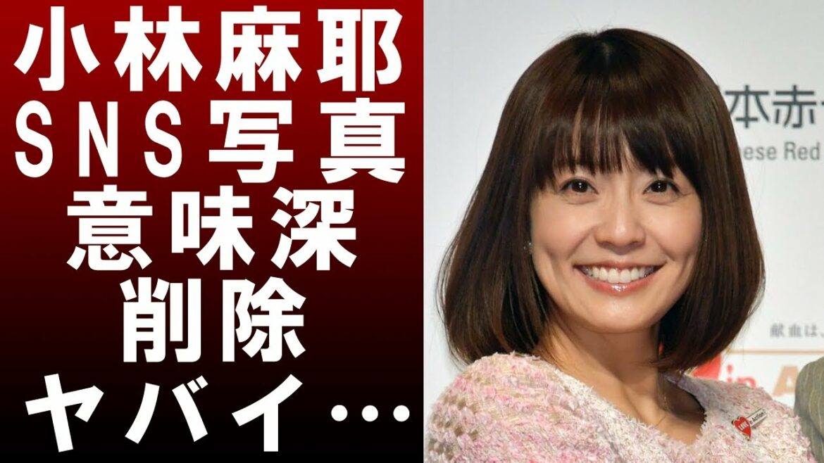 【衝撃】小林麻耶がinstagramの写真を大量削除‼ブログも新しくした意図とは⁉