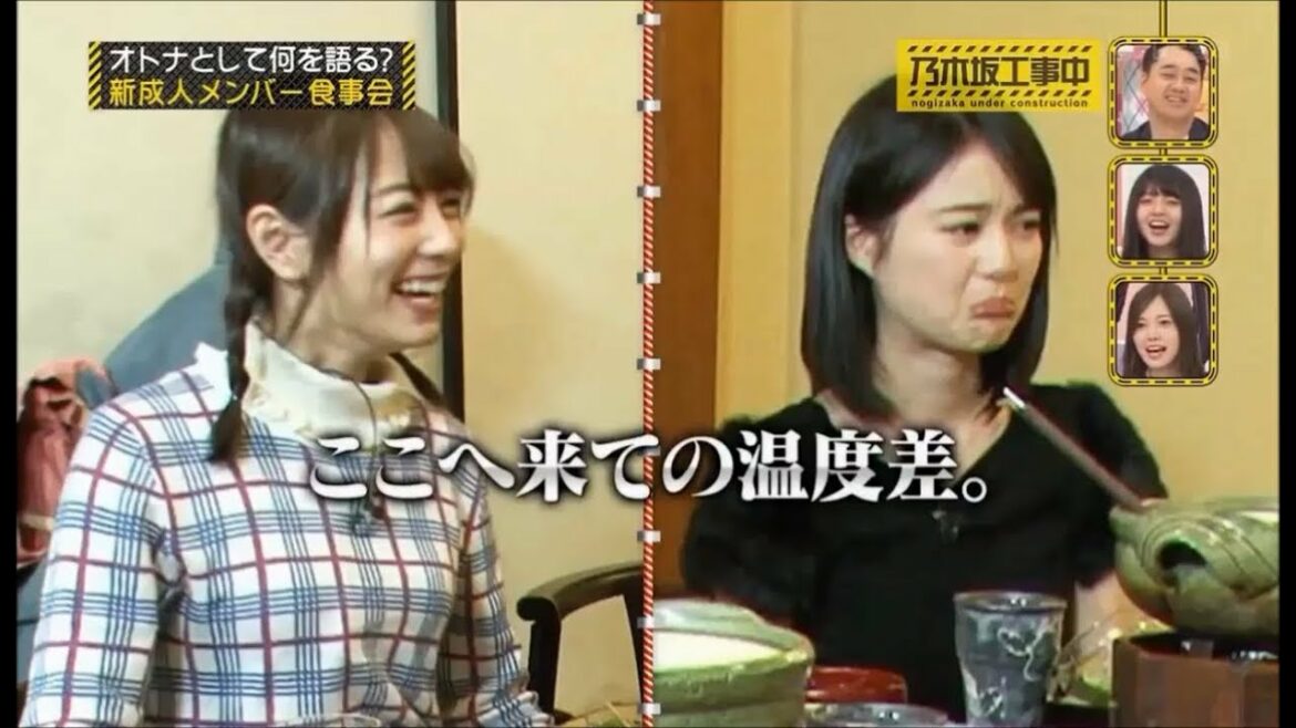 【乃木坂46】饒舌、生田、二十歳【生田絵梨花】