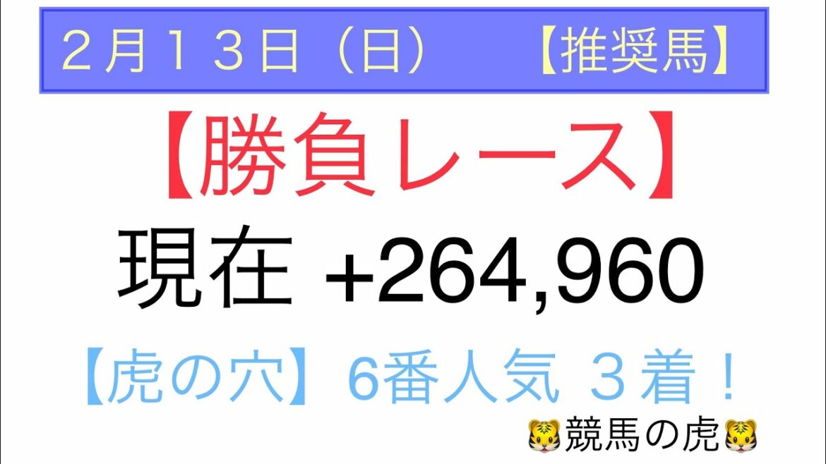【２月１３日（日）競馬予想】【平場予想】【推奨馬】【勝負レース】【穴予想】