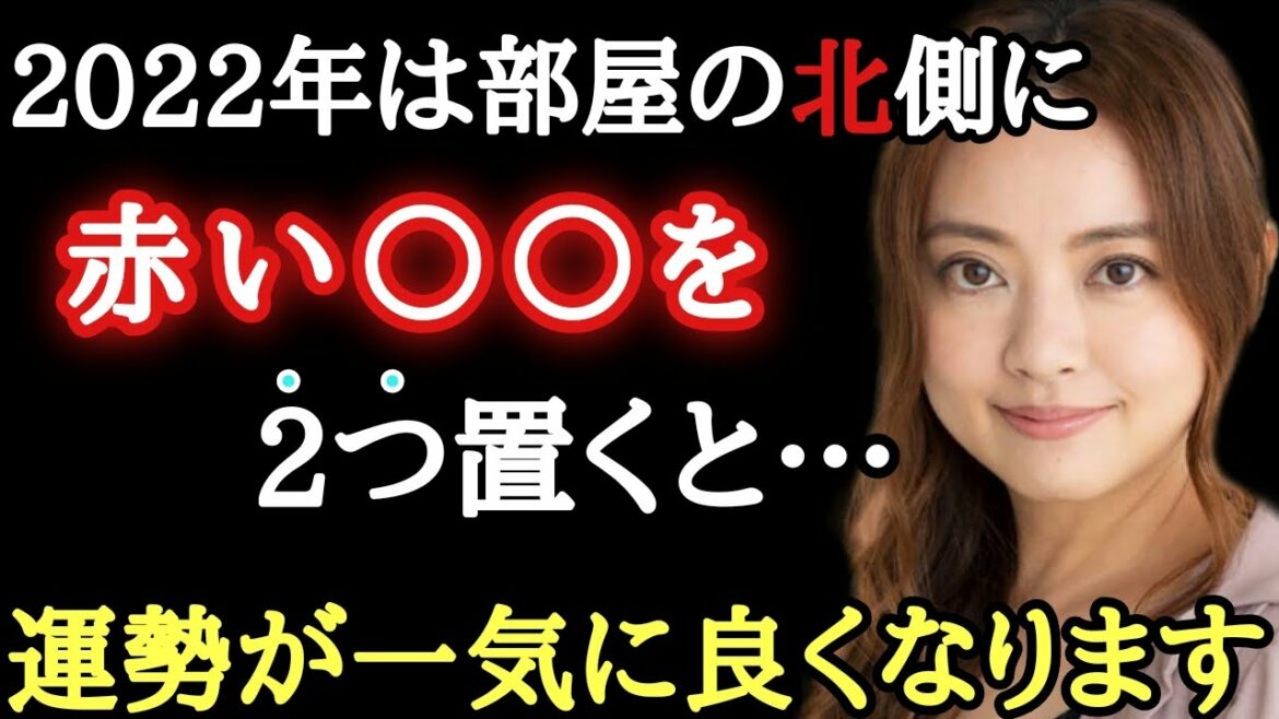 【星ひとみ】※2022年は部屋の北側に赤やピンク色の○○を２つ(偶数)置くと人間関係や恋愛運などの運勢が一気に良くなります。そして今年評価される人の特徴は…「心の浄化　2022年　天星術」