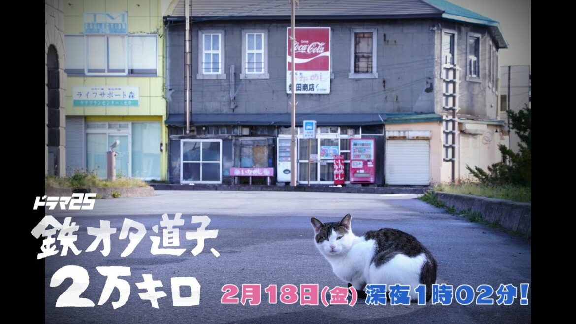 ドラマ25「鉄オタ道子、2万キロ」｜第7話｜テレビ東京