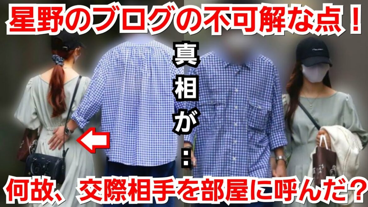 【乃木坂46】星野みなみ、謝罪ブログの不可解な点『部屋に交際相手を呼んだ理由は〇〇〇するため』