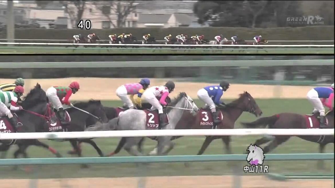 【フェノーメノ】4戦目 2012 弥生賞（6着）