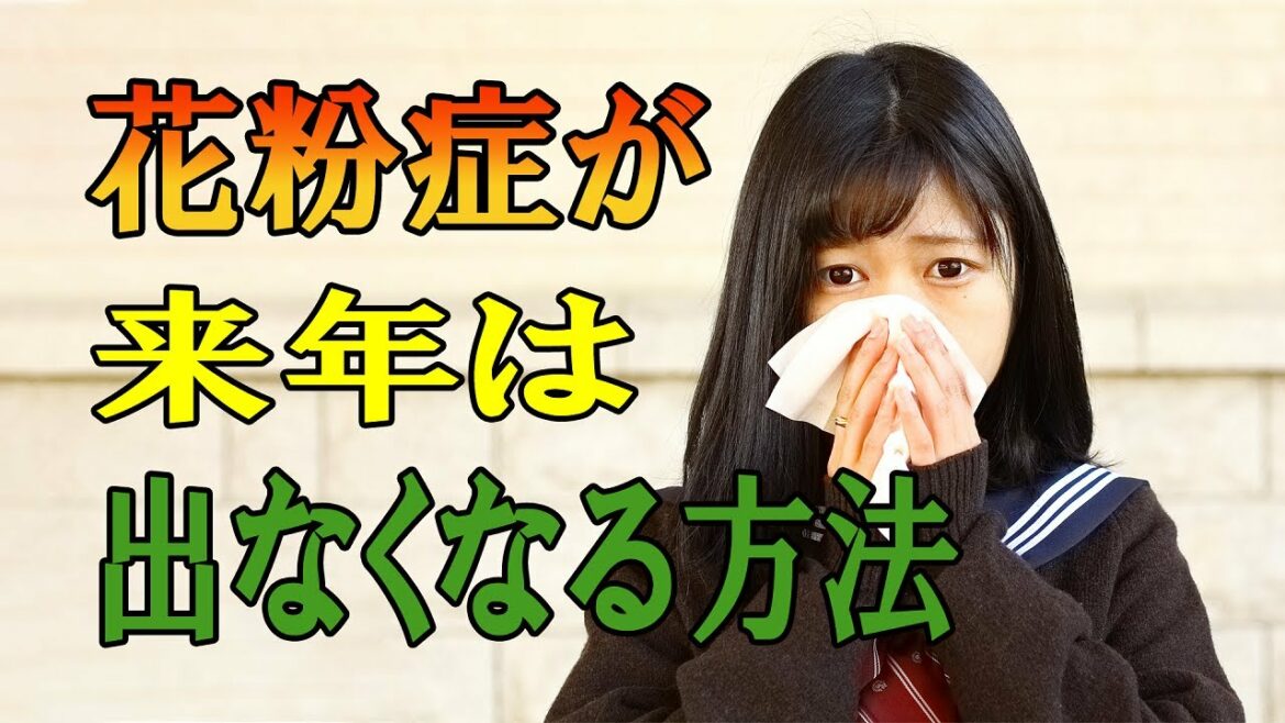 【花粉症 治す方法】花粉症が来年は出なくなる方法