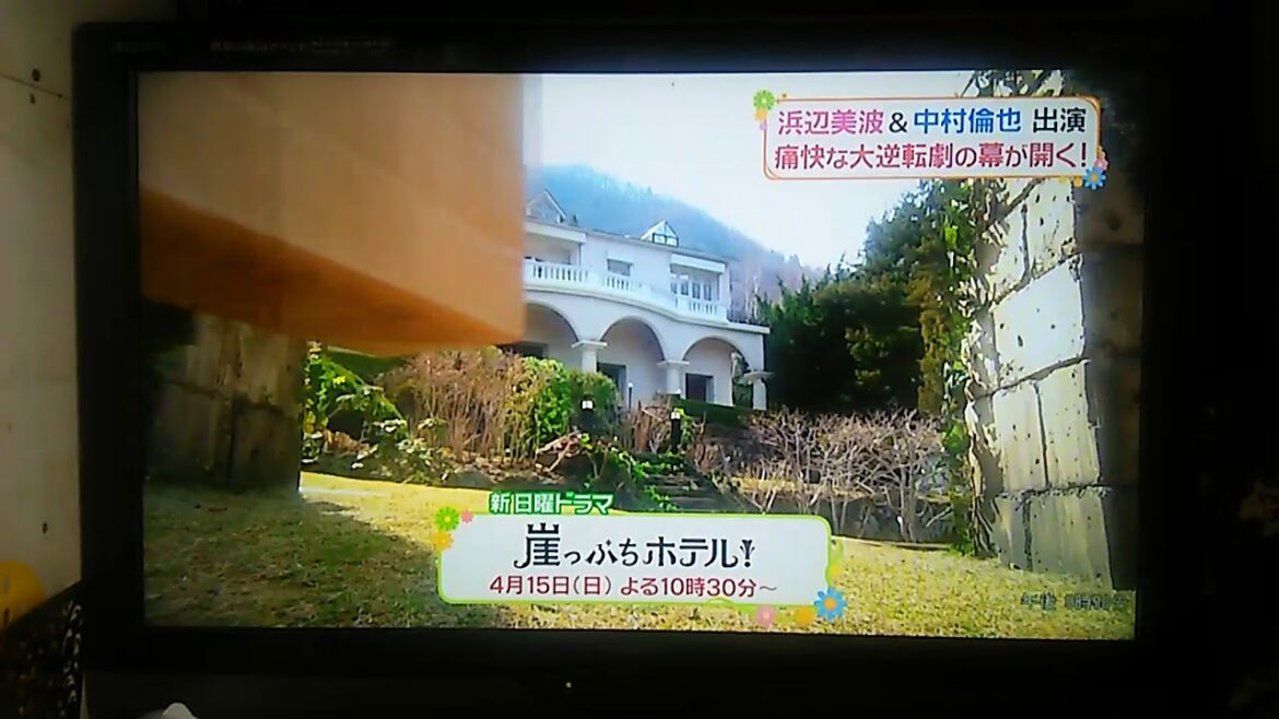 浜辺美波＆中村倫也 崖っぷちホテル番宣