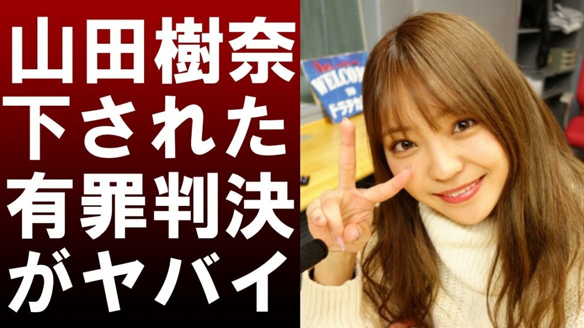 【 衝撃 】 詐欺容疑 で 逮捕 されていた 元 SKE48 の 山田樹奈 に 有罪判決 ！！ 判決 内容 が ヤバイ！