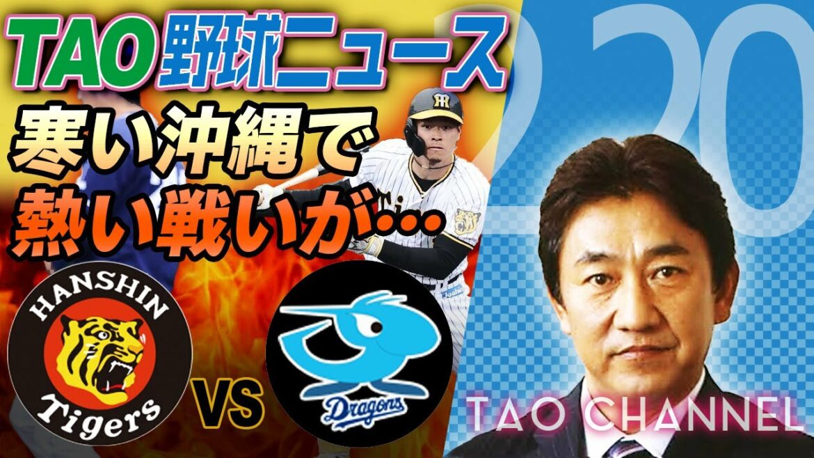 今年の岡野は活躍しそうな雰囲気ムンムン!佐藤輝明、順調な仕上がり!【TAO野球ニュース 2022.2.20】 今年の岡野は活躍しそうな雰囲気ムンムン!佐藤輝明、順調な仕上がり!【TAO野球ニュース 2022.2.20】