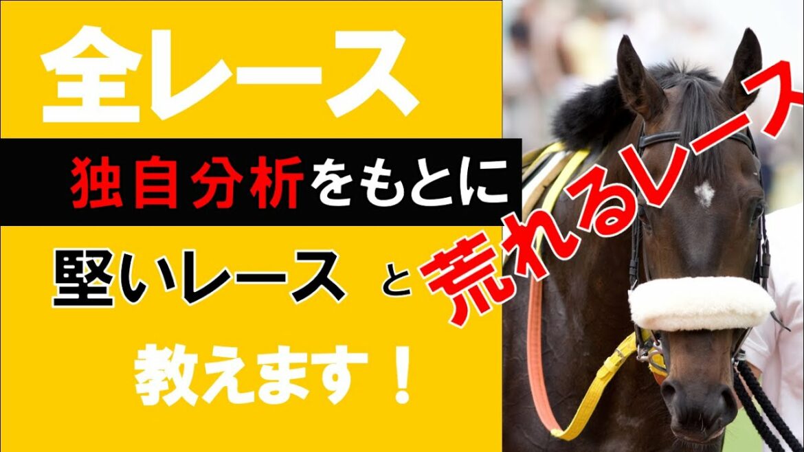 2月20日独自分析から考える平場全予想　※穴馬多め