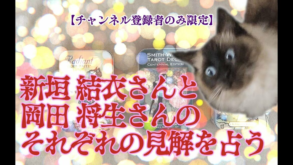 【チャンネル登録者限定】新垣 結衣さんと岡田 将生さんのそれぞれの見解を占う【年下の男の子】