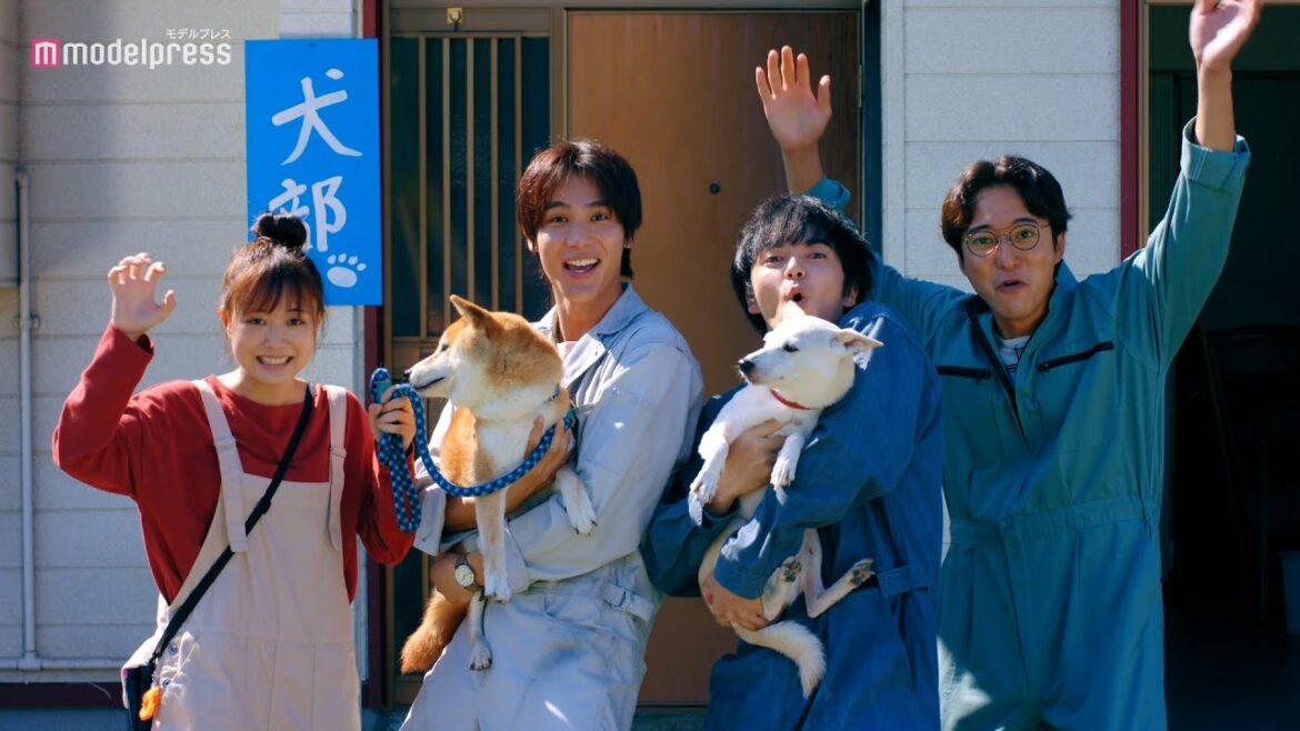 林遣都＆中川大志が動物のために戦う Novelbright「ライフスコール」主題歌 映画「犬部！」予告